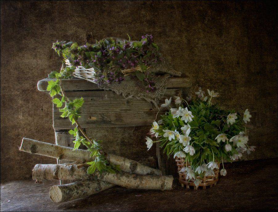 натюрморт, весна, пролески, цветы, El. G.