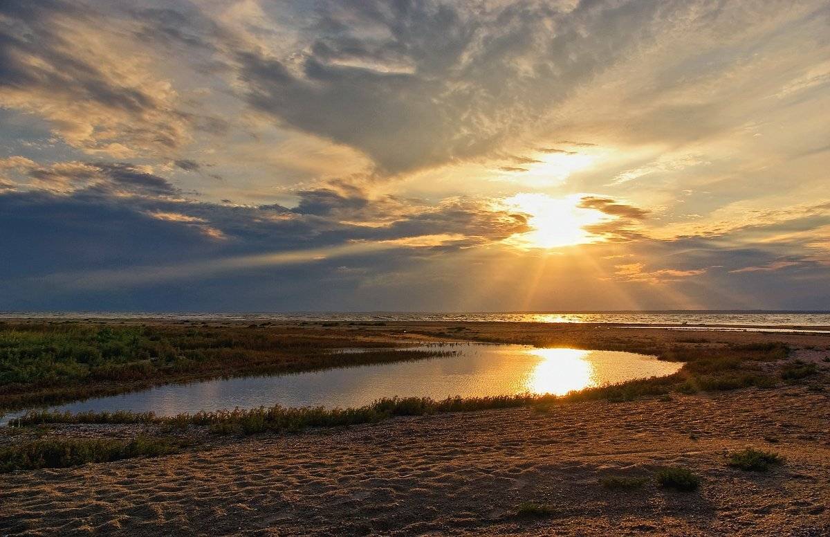 , Игорь Мелекесцев