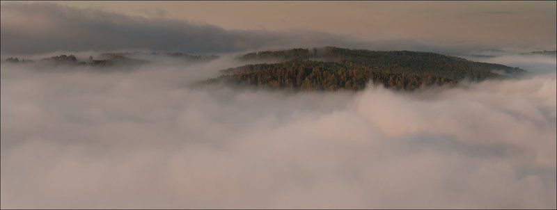 МЕСТАМИ ТУМАН фото превью