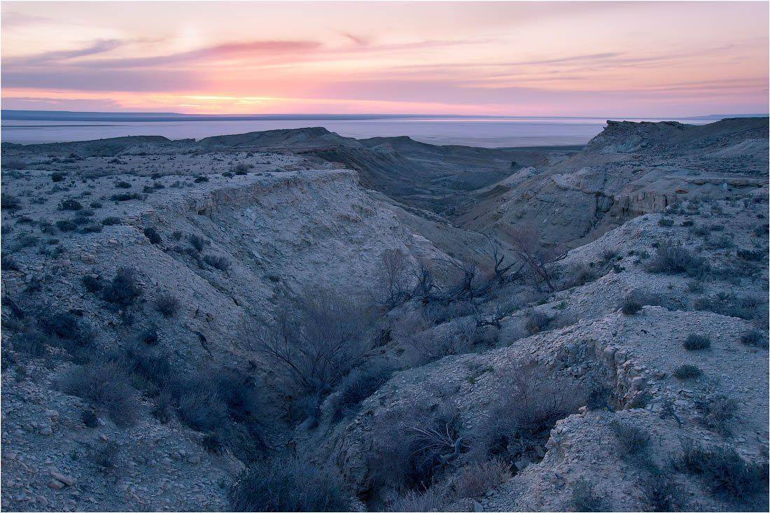 мангыстау, мангышлак, Кутыгин Эдуард