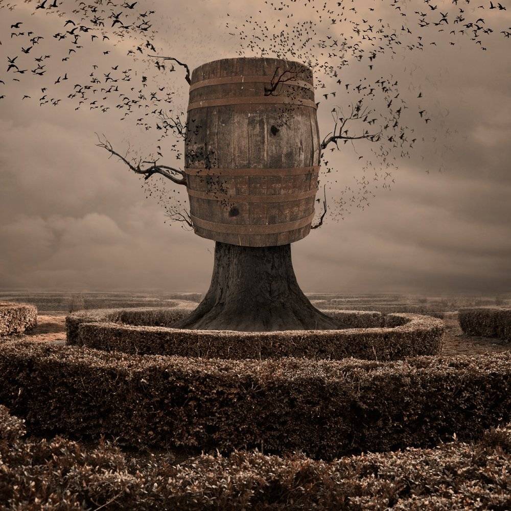 sky, birds, clouds, tree, bush, grass, fly, wood, mystery, manipulation, photoshop, nest, flying, beast, drum, caras ionut, tutorial, Caras Ionut