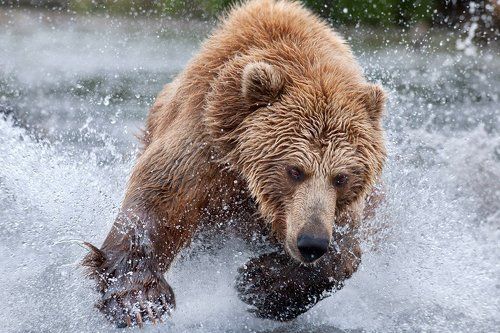 Блондинка на рыбалке