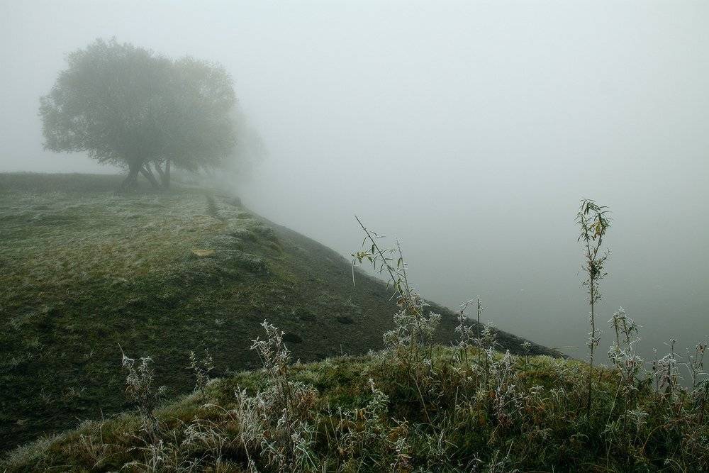 , Николай Морский