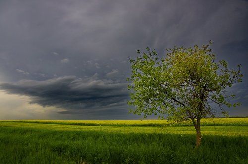 Перед дождем