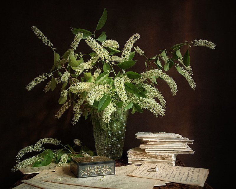 С черёмухой, или Время перечитывать письма... фото превью