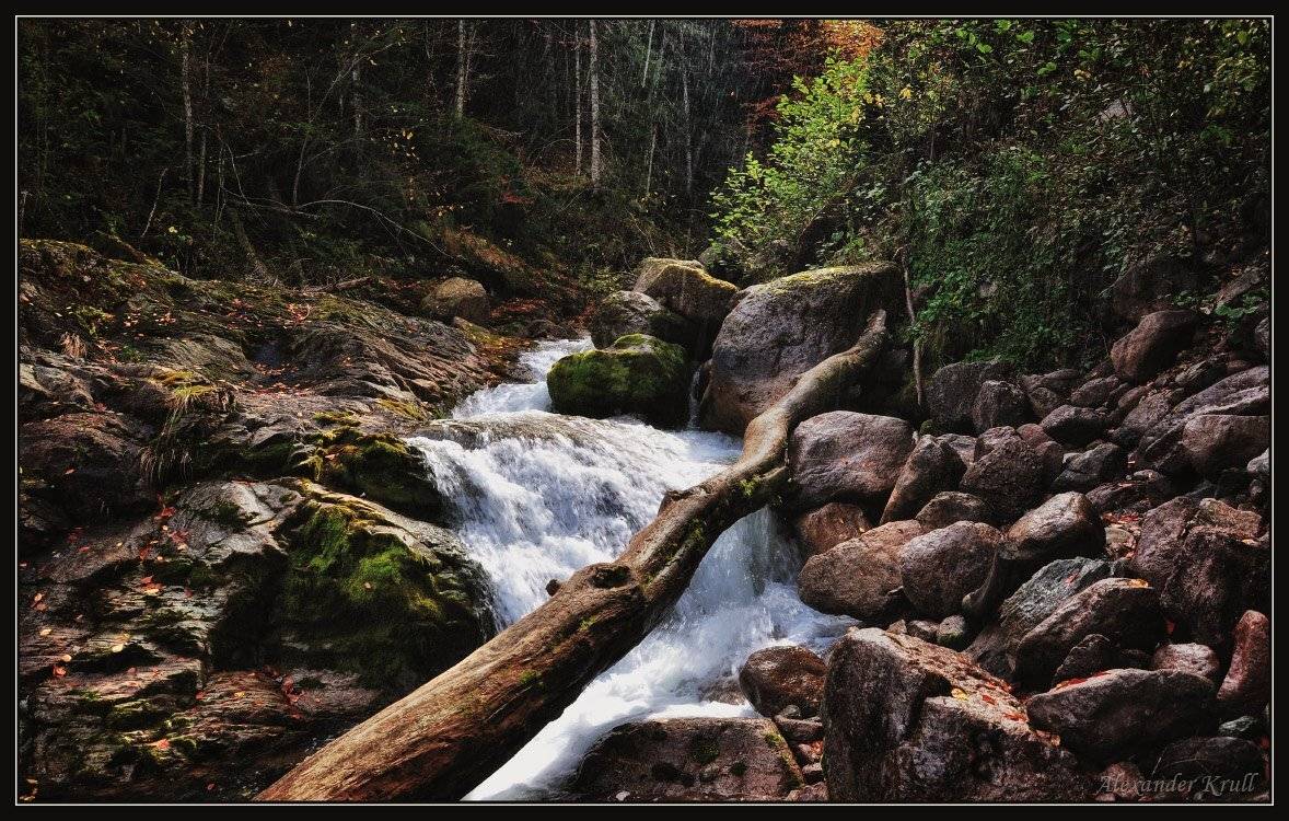 кавказ, кчр, рожкао, речка, осень, Александр Круль