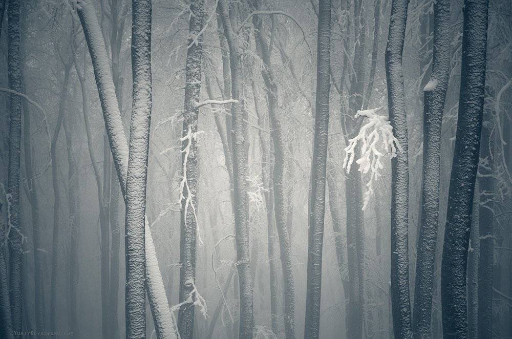 , Юрий Коваленко