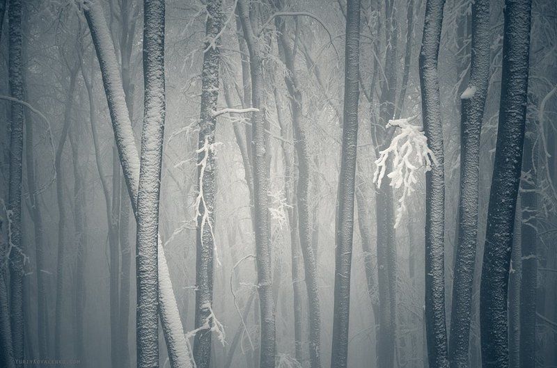 ...frozen... фото превью