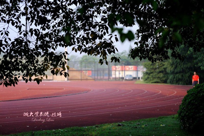 Collage фото превью