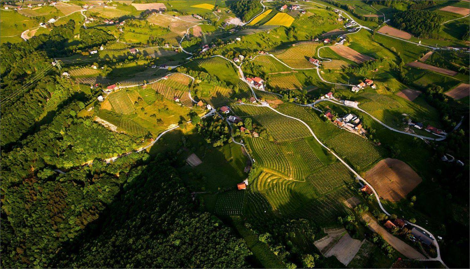 медленно_внимательно, Нетушки