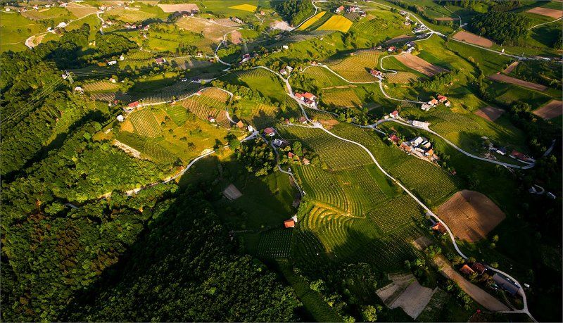 медленно_внимательно Органичная жизнь фото превью