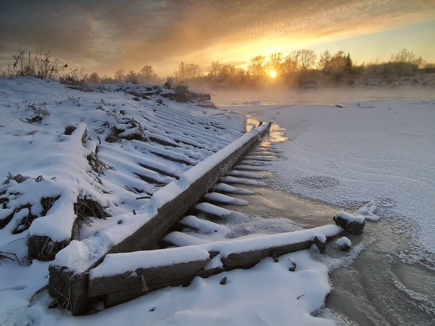 , Максим Евдокимов