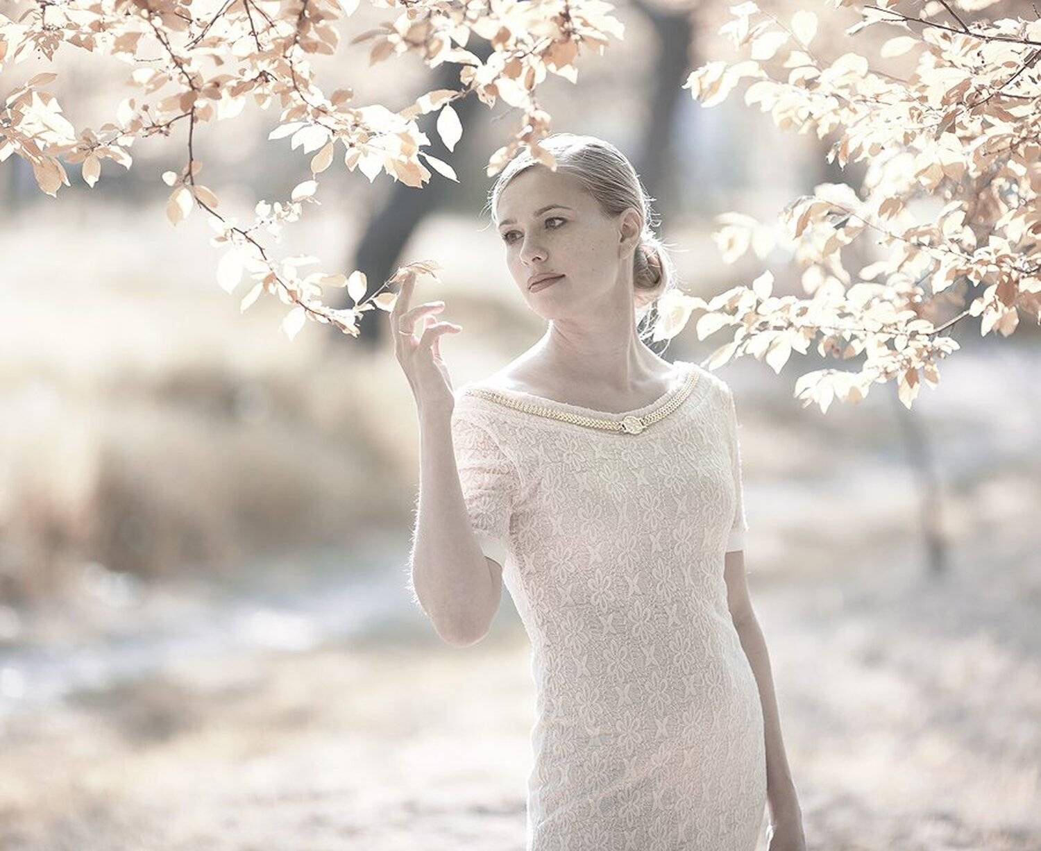 , Евгений Лагода