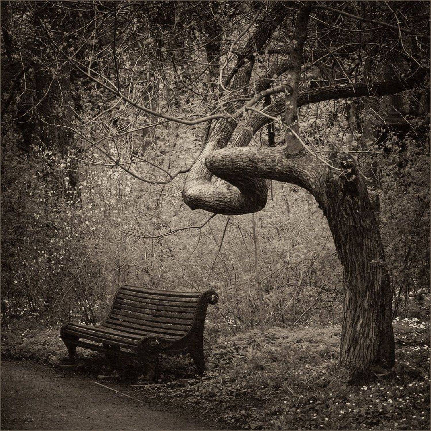 старый, парк, Sergey Migunov