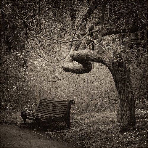 в парке старом