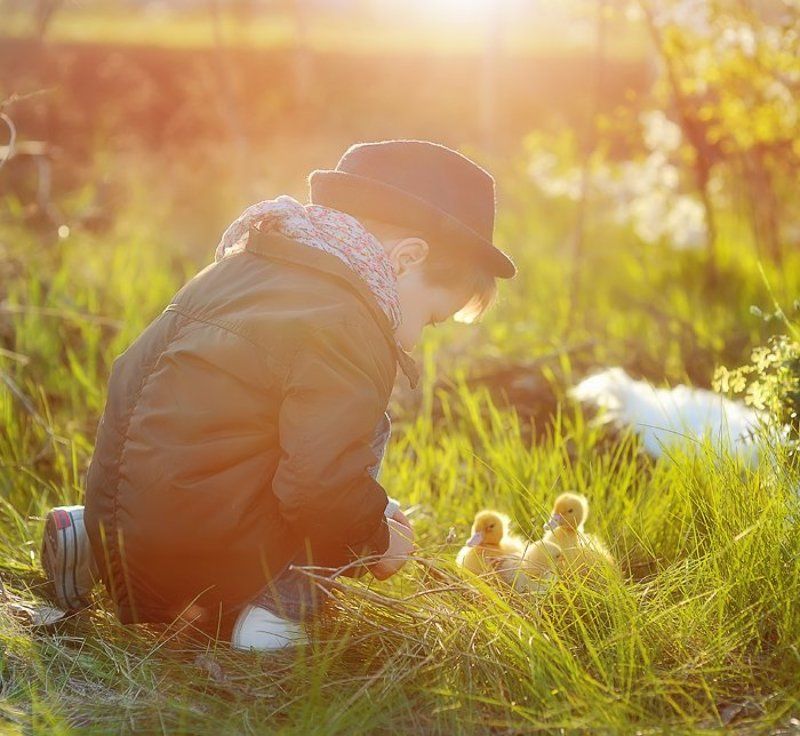фото превью