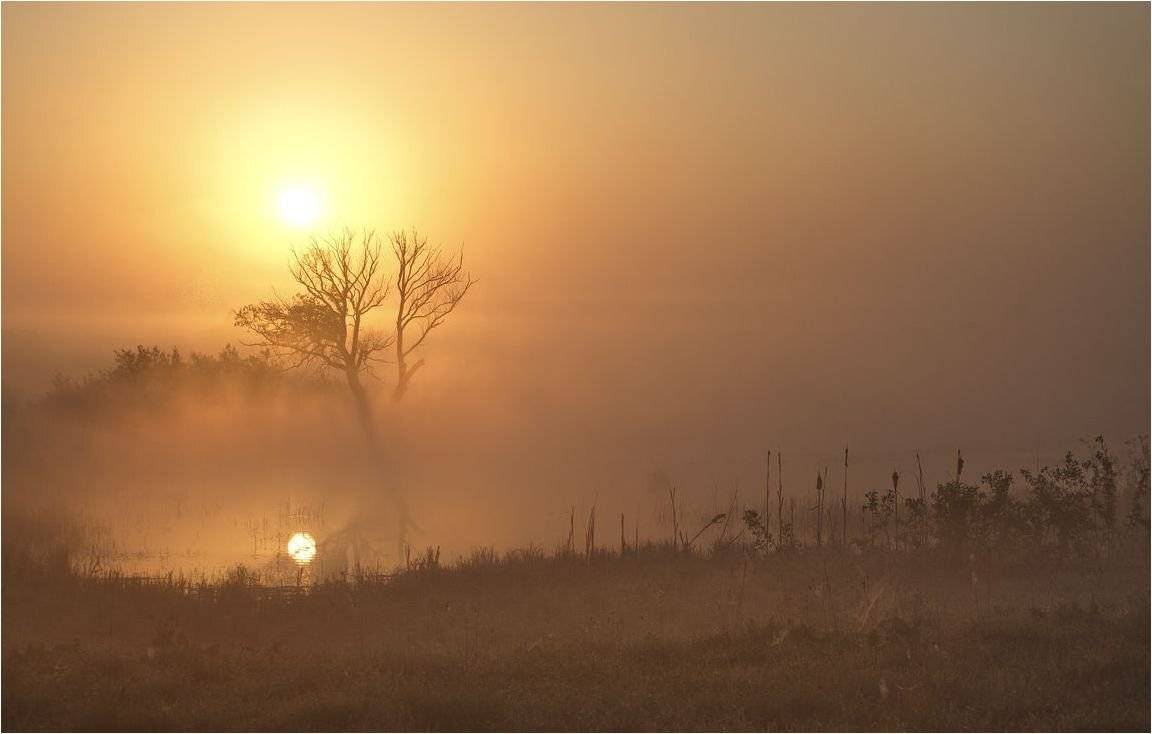 , Володимир Карчевський