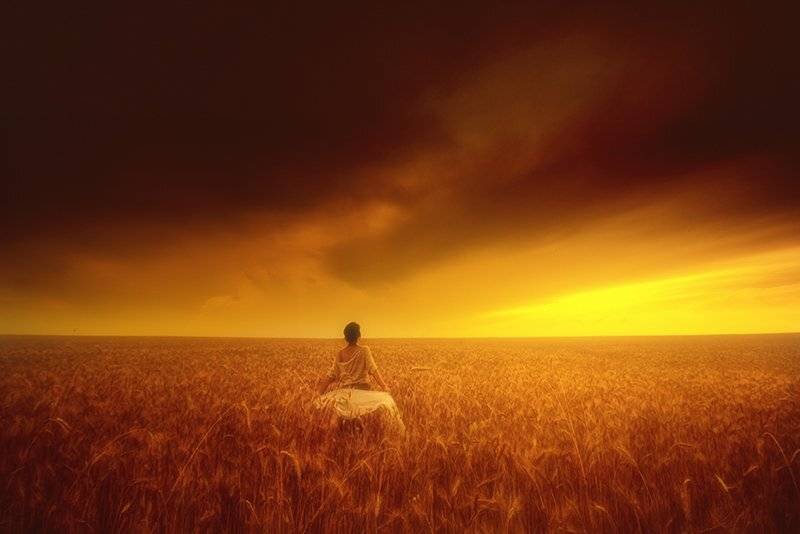 , Дмитрий Шишков