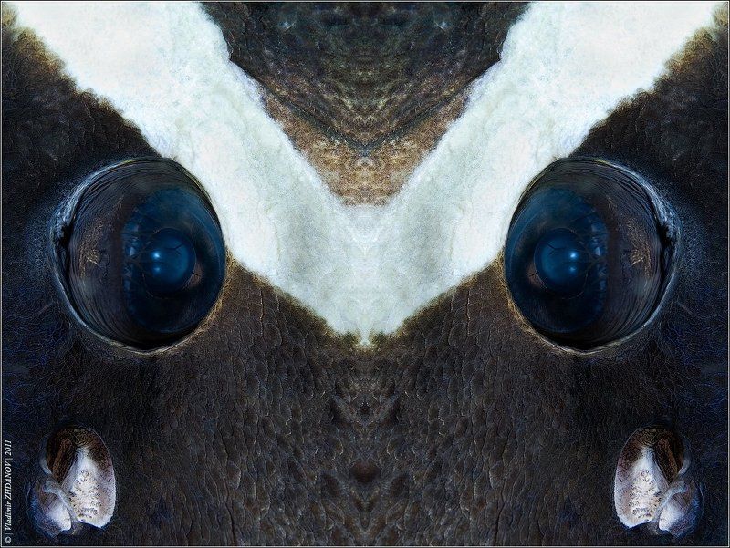 Маска # 2 фото превью