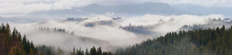 Туманной рекой фото превью