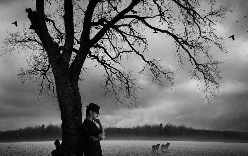 Black and white, Man, Odin, Tree, Wolf odin фото превью