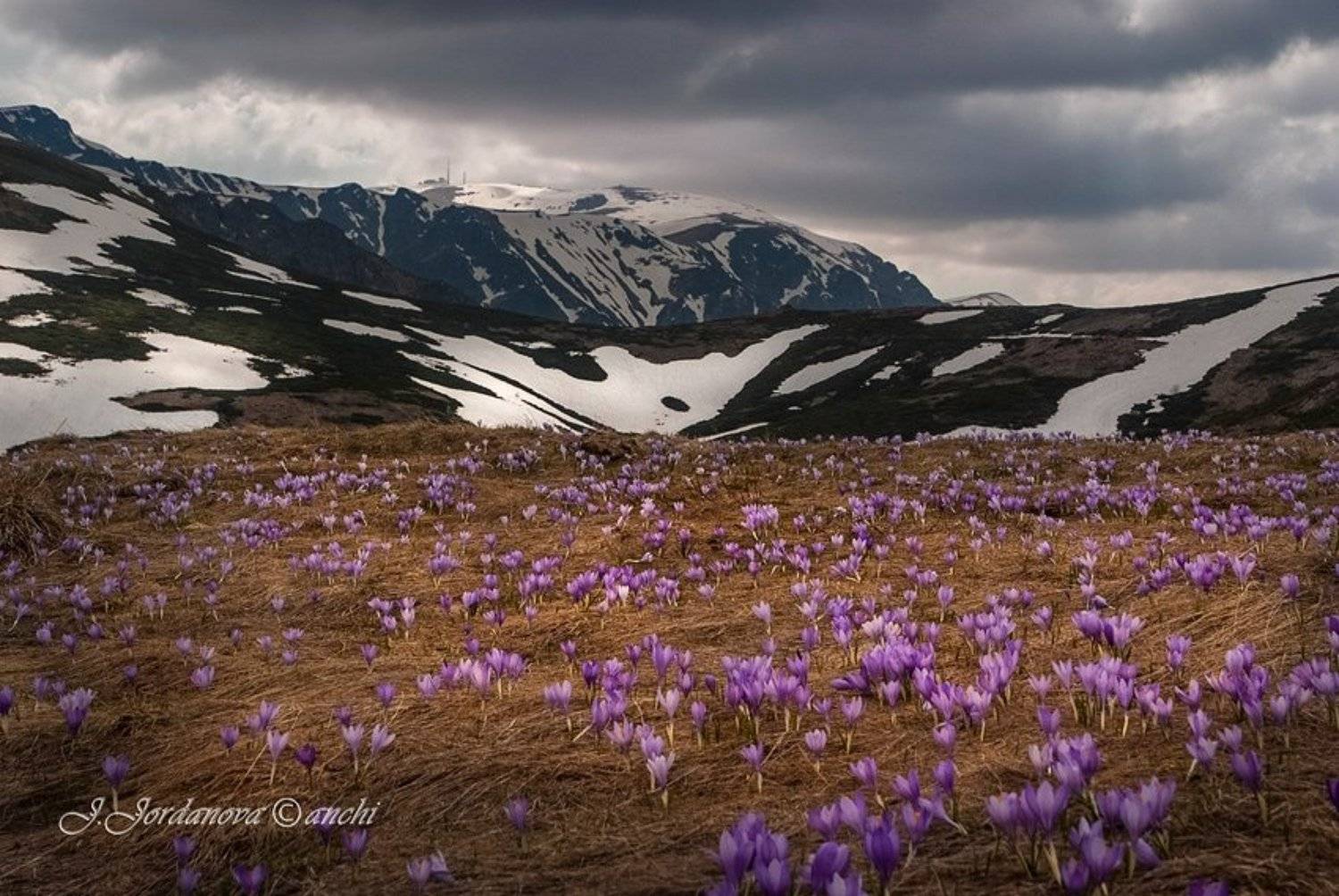 spring , bulgaria , whisper, Jordanka Jordanova