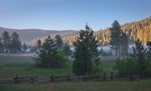 Июньское утро / June morning