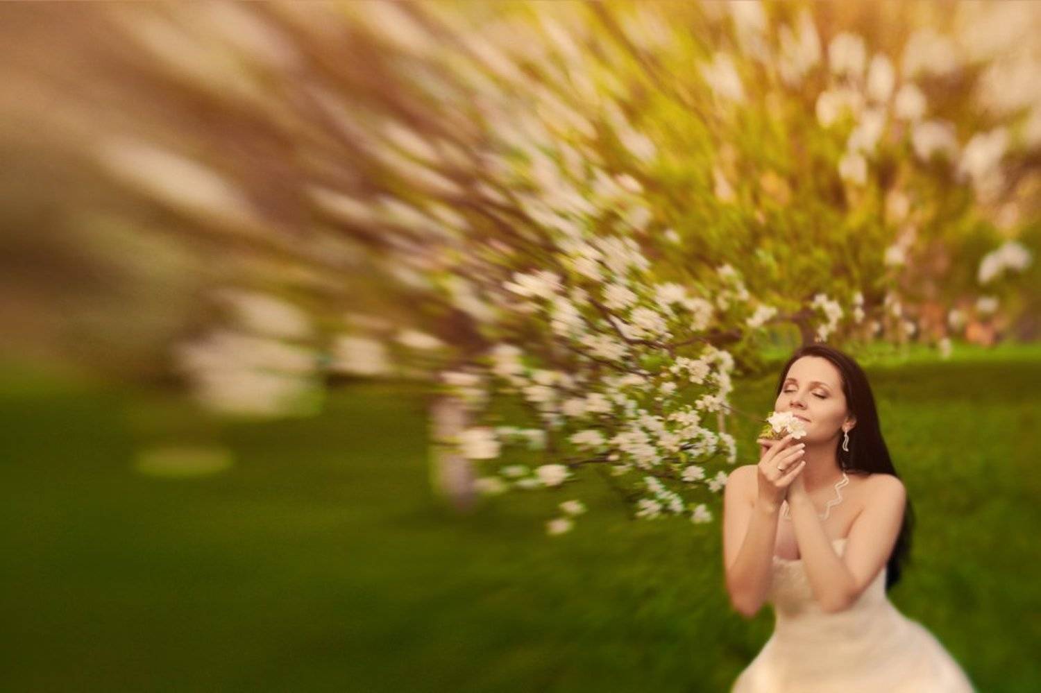 вед, Александр Ростов