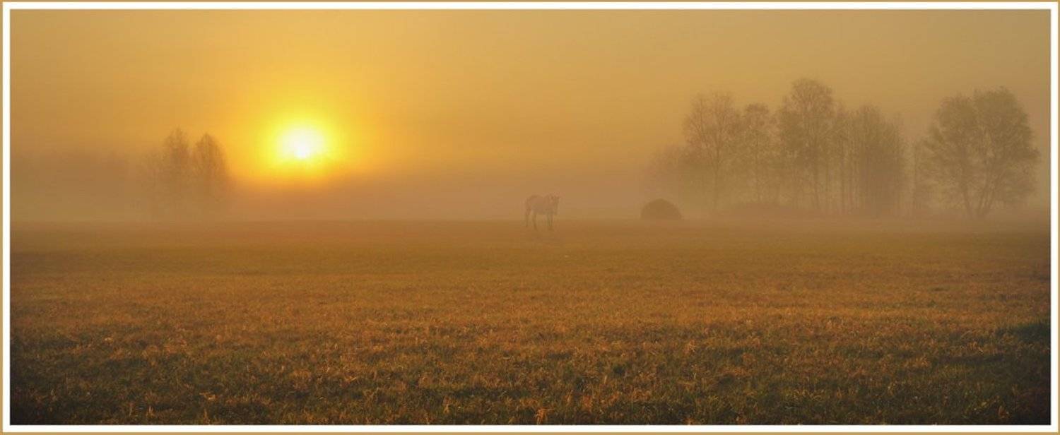 , Андрей Кашлаков