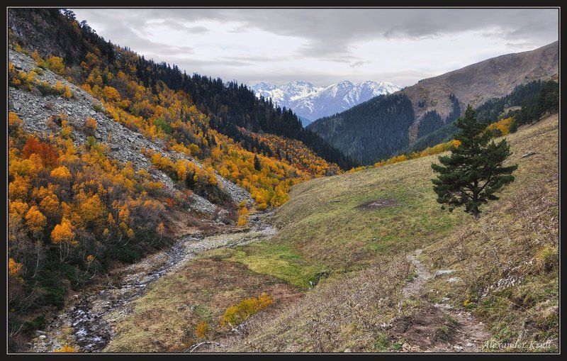 кавказ, кчр, горы, осень Осенними тропами... фото превью