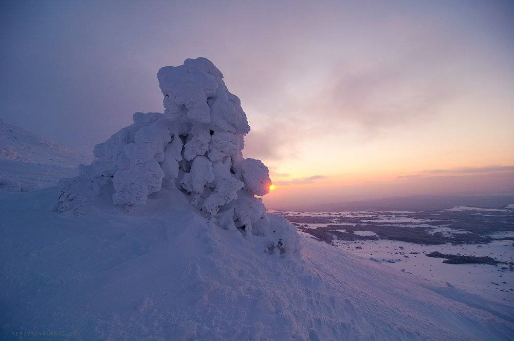 , Юрий Коваленко