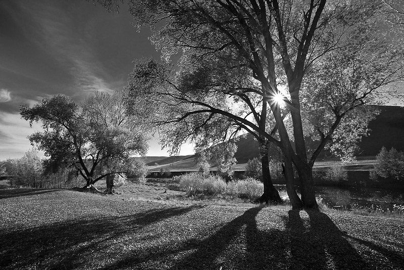 Вечерняя фото превью