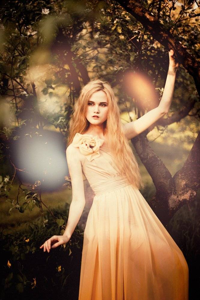 , Михалакий Дмитрий