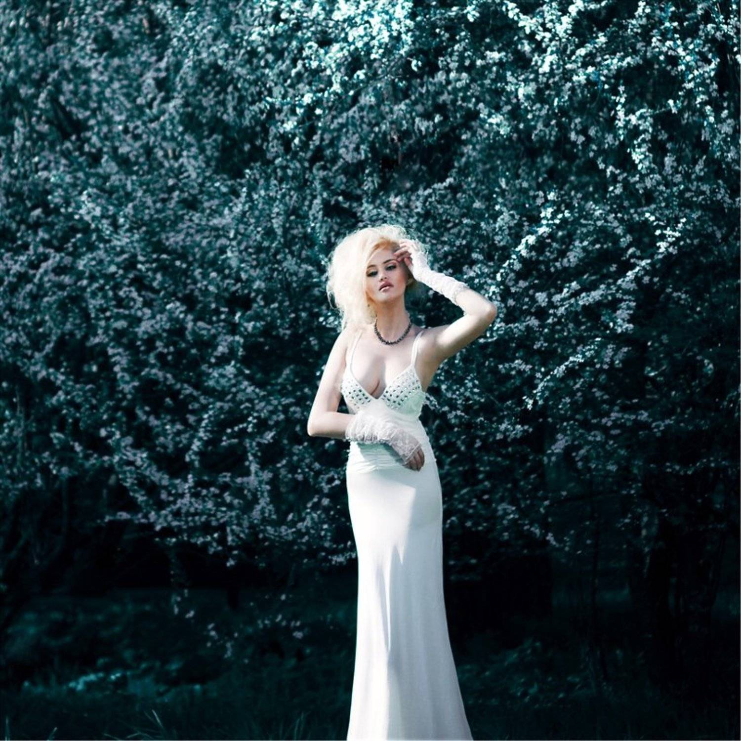 маргарита, хина, Дмитрий