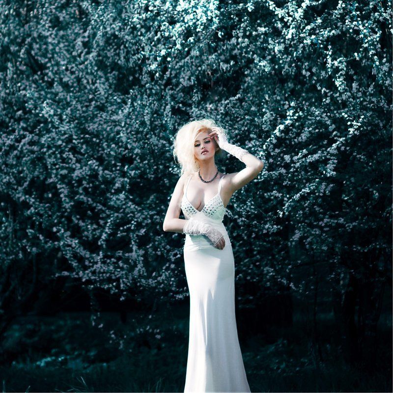 маргарита, хина ... фото превью