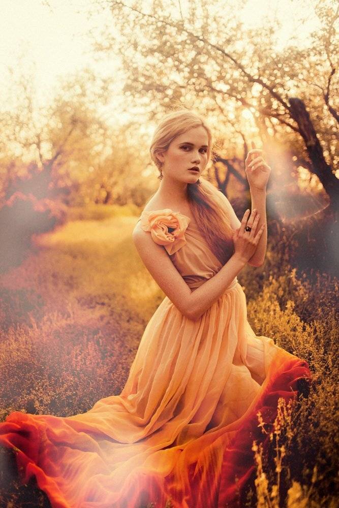 , Михалакий Дмитрий