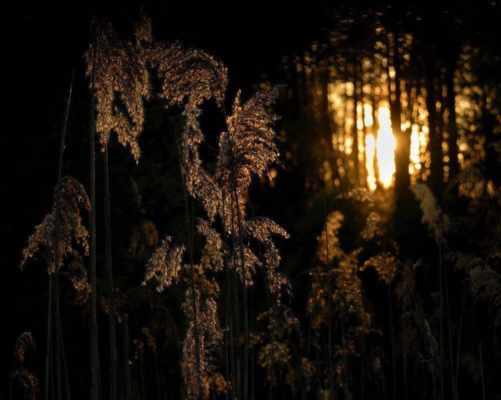 , Александр