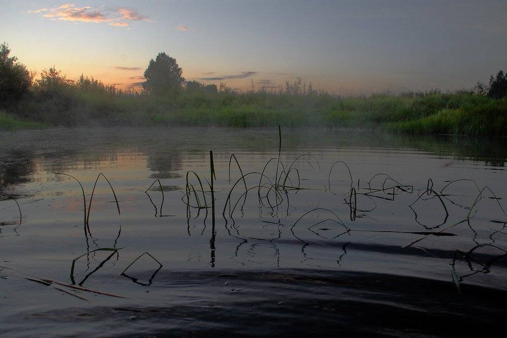 , Николай Морский