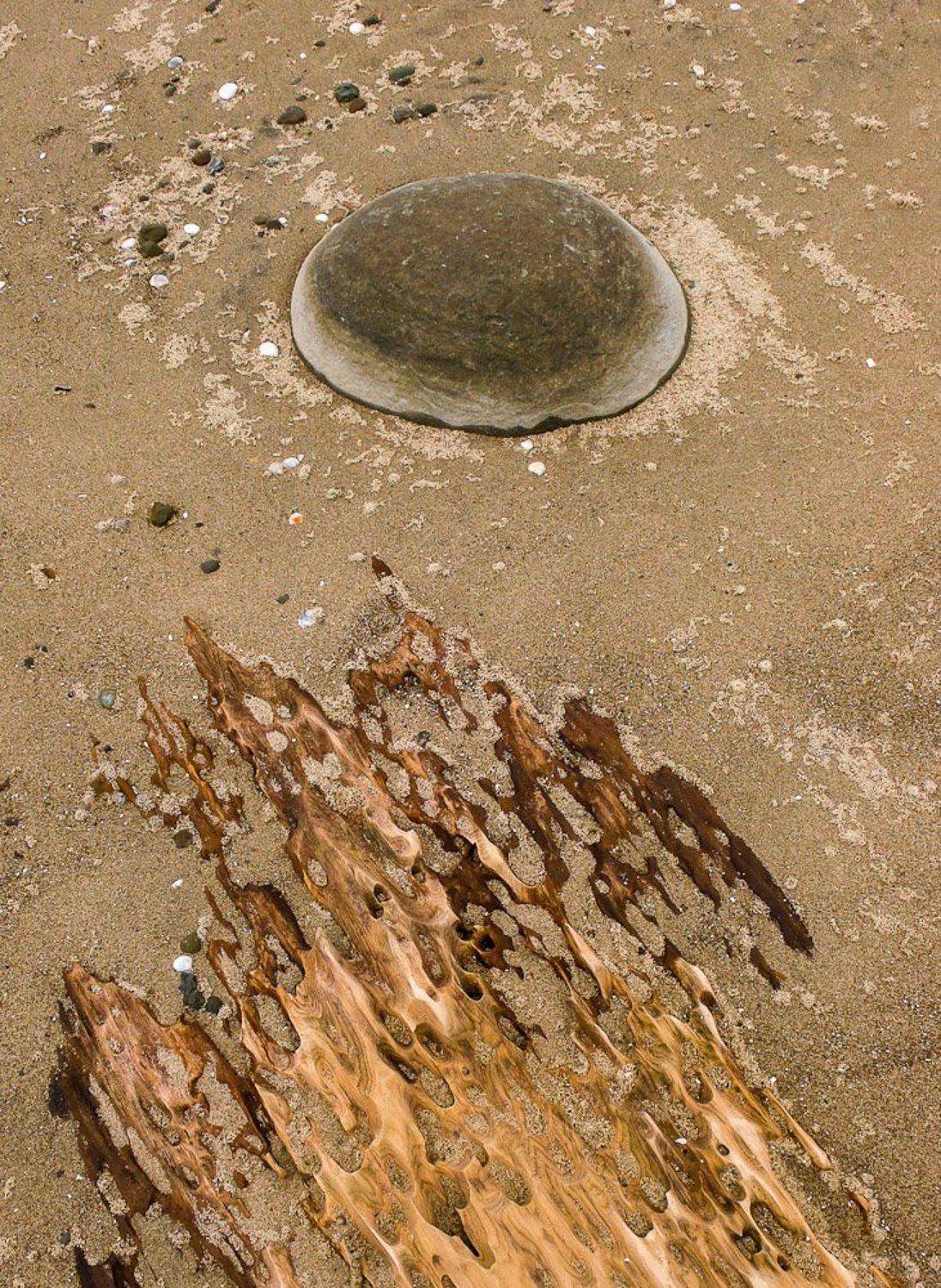 , Надежда Звягина / New Zealand