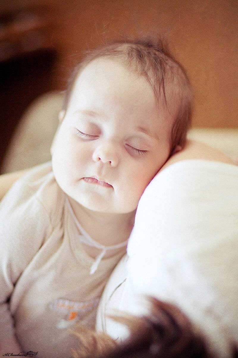 , Чаадаева Анна