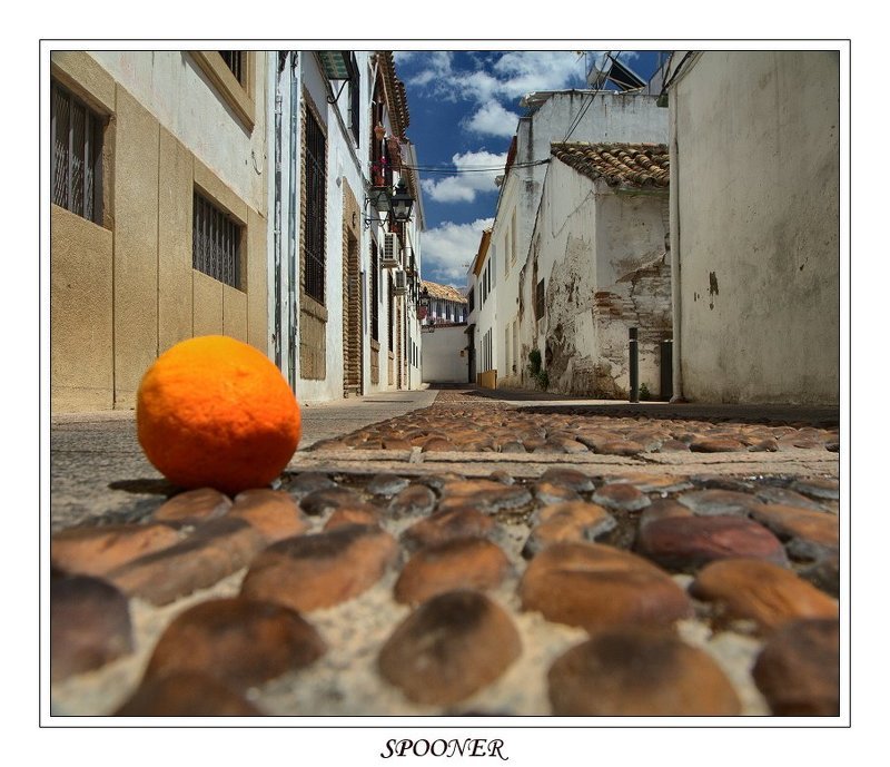 * * * фото превью