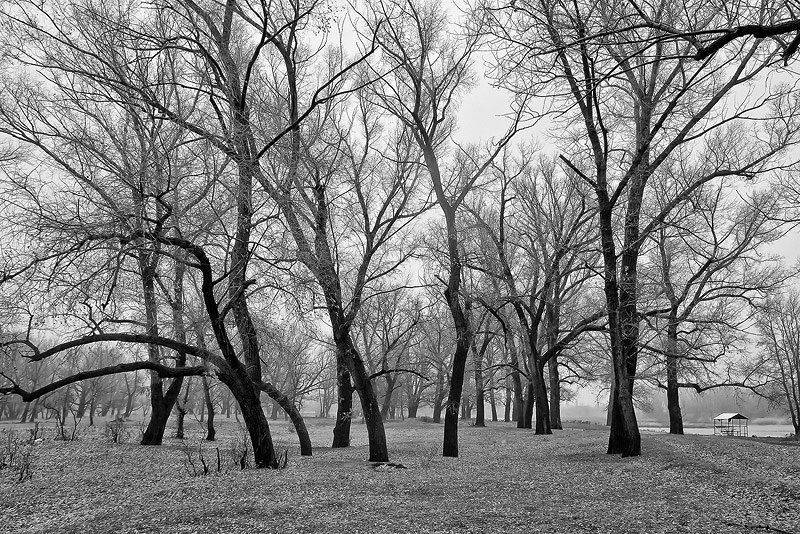 , Качурин Алексей