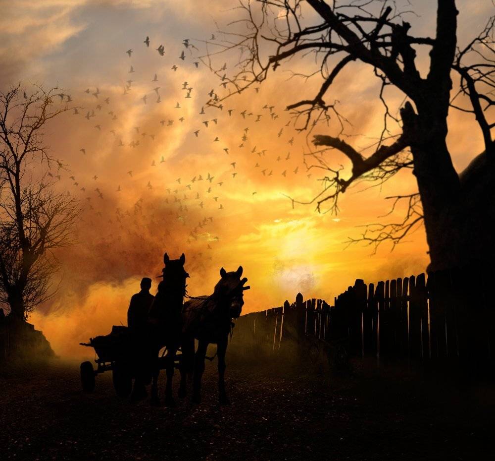 field, sky, morning, beauty, birds, clouds, grass, alone, green, smoke, horse, windy, workers, cart, Caras Ionut