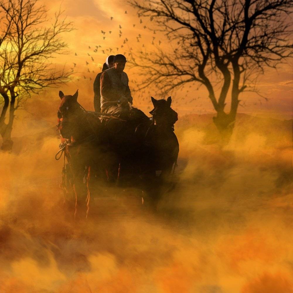 sky, birds, light, clouds, tree, man, family, fly, wood, smoke, horse, hot, photoshop, burning, cart, tutorial, Caras Ionut
