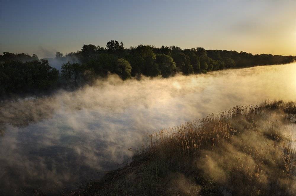 , Дeнис Бoдрoв