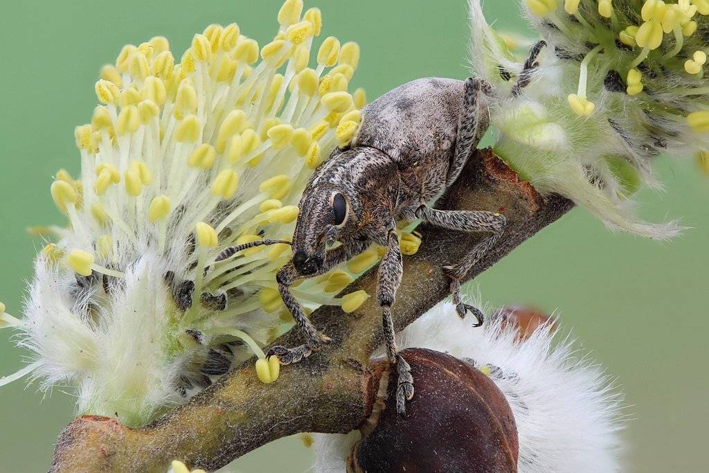 , Сергей Таланов