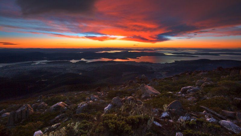 tasmania Рождение Зари фото превью