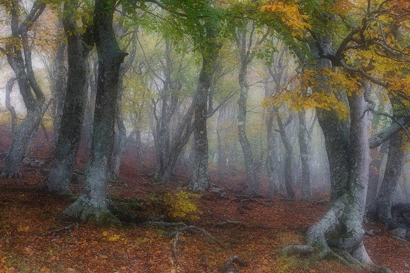 Сонная лощина фото превью