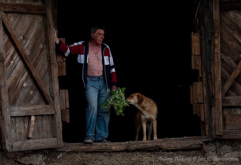 жанр Серия \