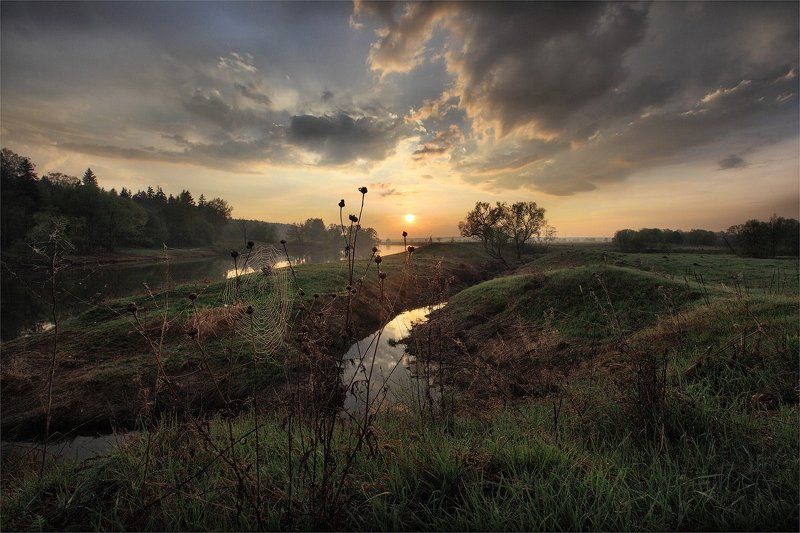 рассвет, паутина, река паутиновый рассвет фото превью